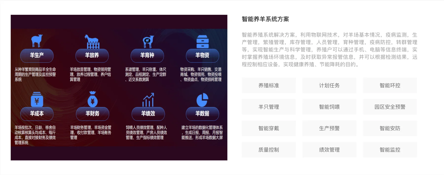 定制方案